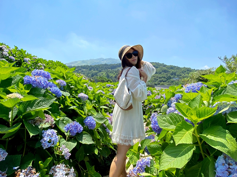 陽明山繡球花季賞花景點推薦 竹子湖「花與樹繡球花田」最新門票資訊！5/25開放入園～門票$150可抵消費，超好拍繡球花田～