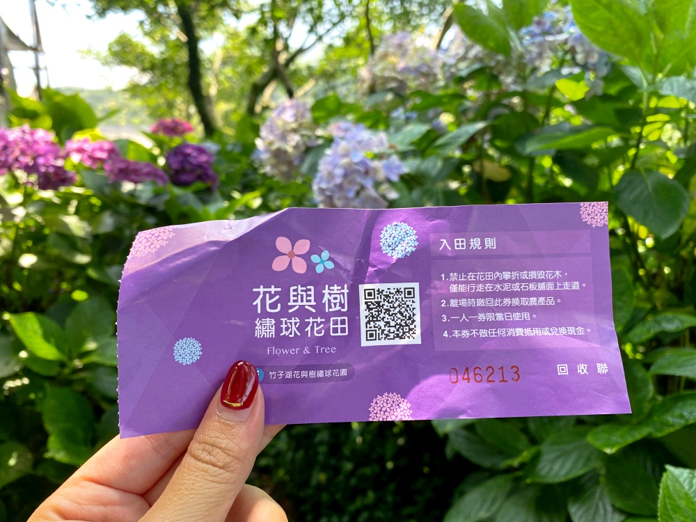 陽明山繡球花季賞花景點推薦 竹子湖「花與樹繡球花田」最新門票資訊！5/25開放入園～門票$150可抵消費，超好拍繡球花田～