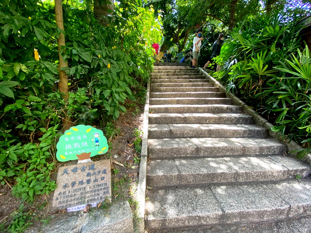 台北天母免費景點推薦｜天母古道親山步道，輕鬆健行適合小孩，綠色隧道水管路、可愛彌猴出沒注意～