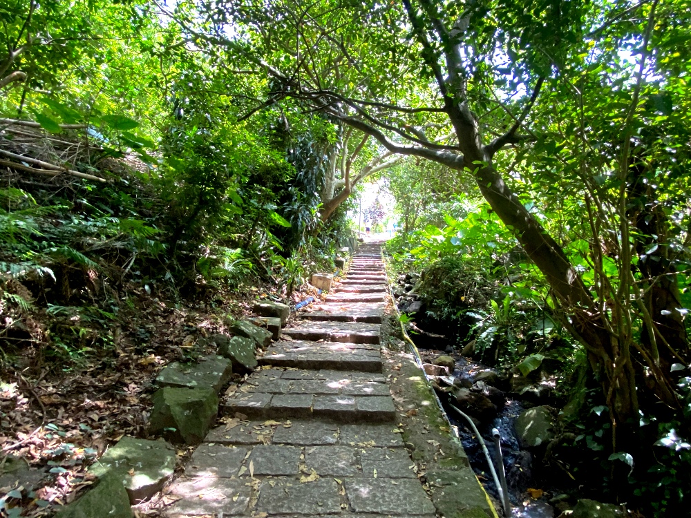 台北天母免費景點推薦｜天母古道親山步道，輕鬆健行適合小孩，綠色隧道水管路、可愛彌猴出沒注意～