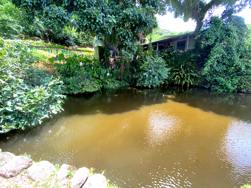 台北天母免費景點推薦｜天母古道親山步道，輕鬆健行適合小孩，綠色隧道水管路、可愛彌猴出沒注意～