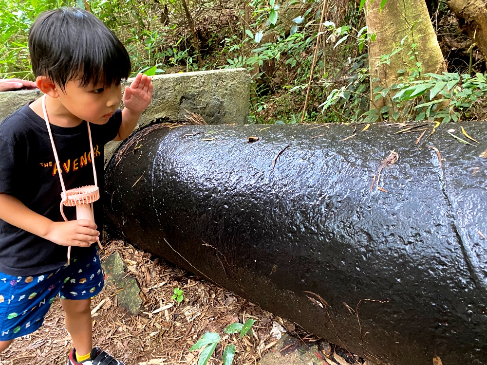 台北天母免費景點推薦｜天母古道親山步道，輕鬆健行適合小孩，綠色隧道水管路、可愛彌猴出沒注意～