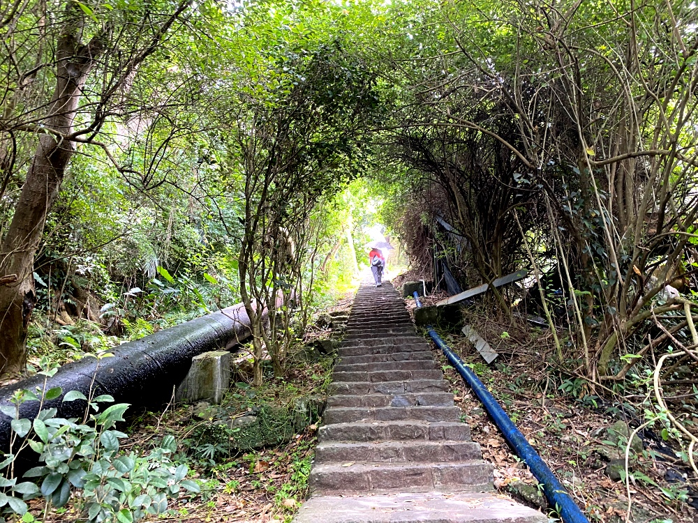 台北天母免費景點推薦｜天母古道親山步道，輕鬆健行適合小孩，綠色隧道水管路、可愛彌猴出沒注意～