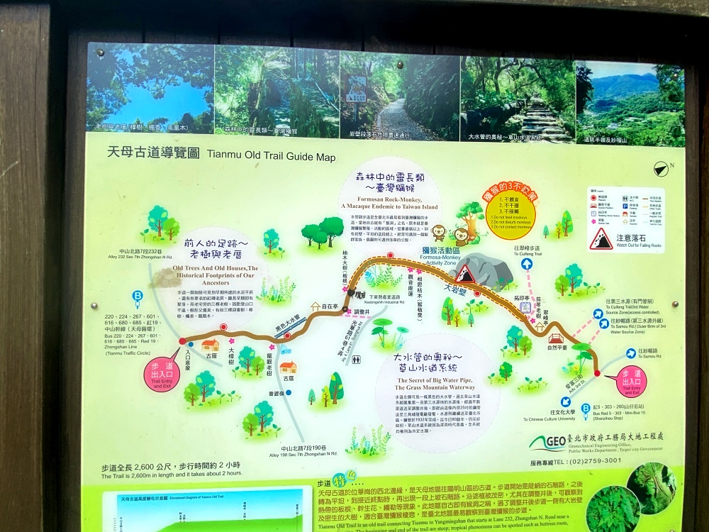 台北天母免費景點推薦｜天母古道親山步道，輕鬆健行適合小孩，綠色隧道水管路、可愛彌猴出沒注意～