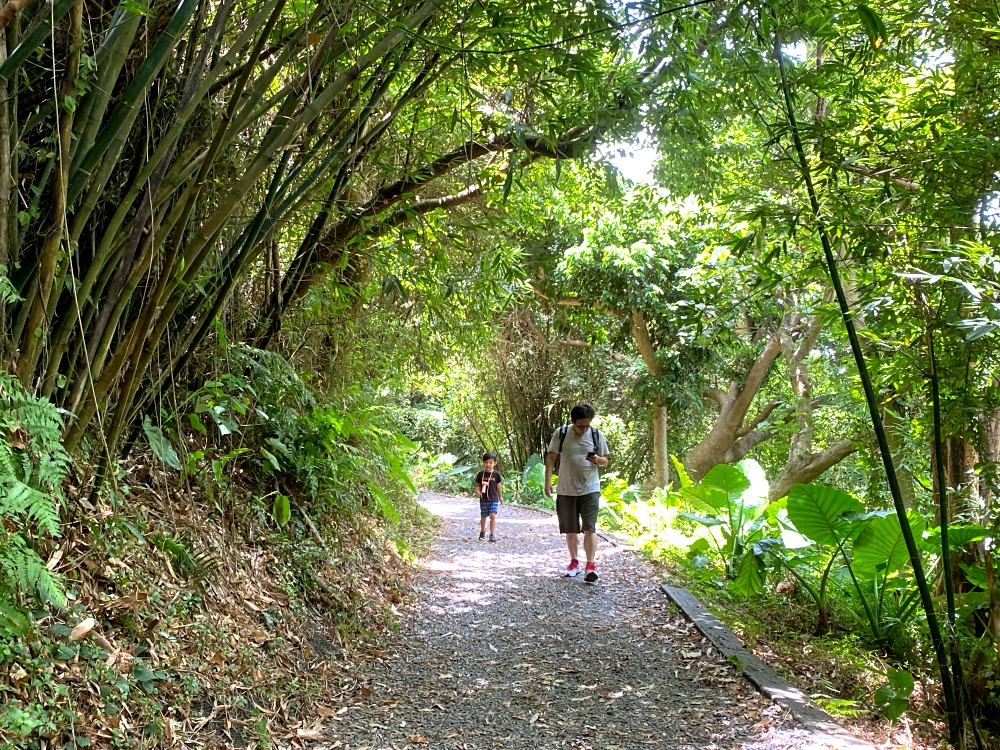 台北天母免費景點推薦｜天母古道親山步道，輕鬆健行適合小孩，綠色隧道水管路、可愛彌猴出沒注意～