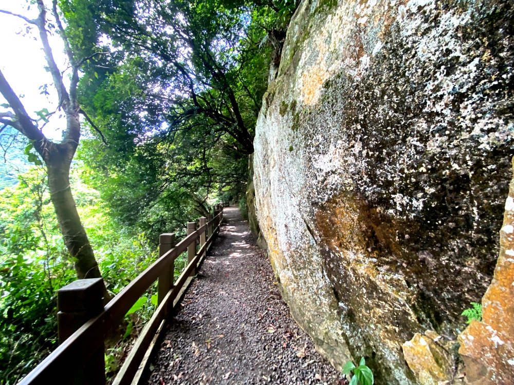 台北天母免費景點推薦｜天母古道親山步道，輕鬆健行適合小孩，綠色隧道水管路、可愛彌猴出沒注意～