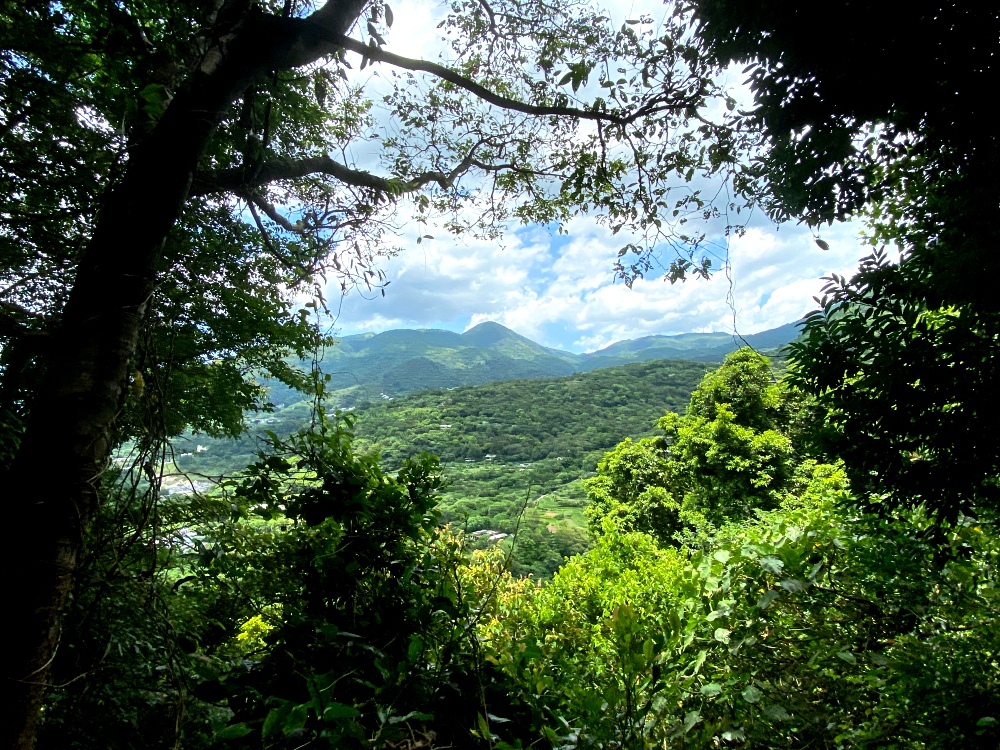 台北天母免費景點推薦｜天母古道親山步道，輕鬆健行適合小孩，綠色隧道水管路、可愛彌猴出沒注意～