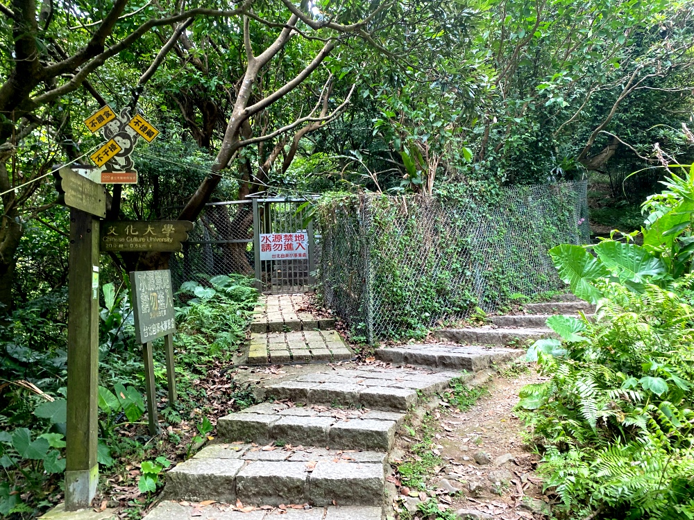 台北天母免費景點推薦｜天母古道親山步道，輕鬆健行適合小孩，綠色隧道水管路、可愛彌猴出沒注意～