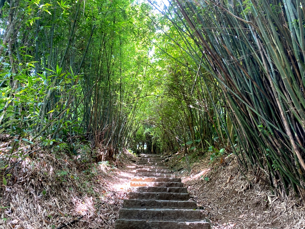 台北天母免費景點推薦｜天母古道親山步道，輕鬆健行適合小孩，綠色隧道水管路、可愛彌猴出沒注意～