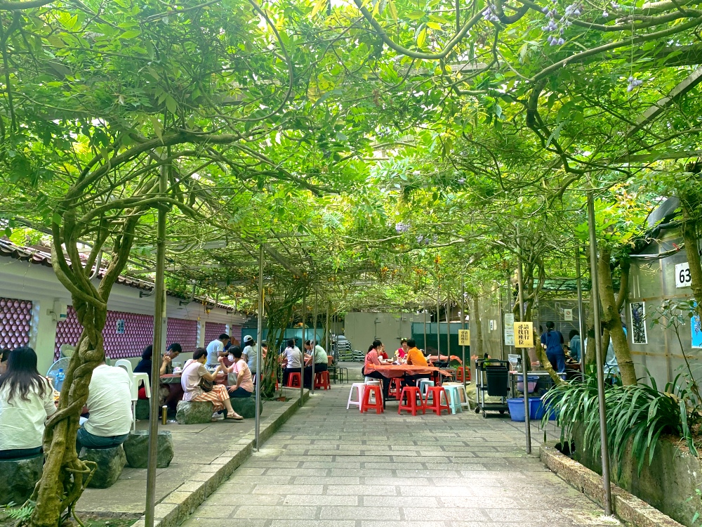 台北市陽明山土雞餐廳推薦｜頂湖小鎮陽明山竹子湖美食土雞，紫藤花季必訪，消費$200可抵停車 米粉湯免費招待～