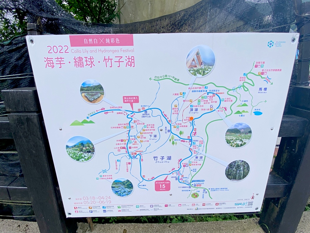 陽明山步道推薦｜ 陽明山竹子湖踏青，輕鬆好走的頂湖步道，海芋季節賞花、遠望小油坑～