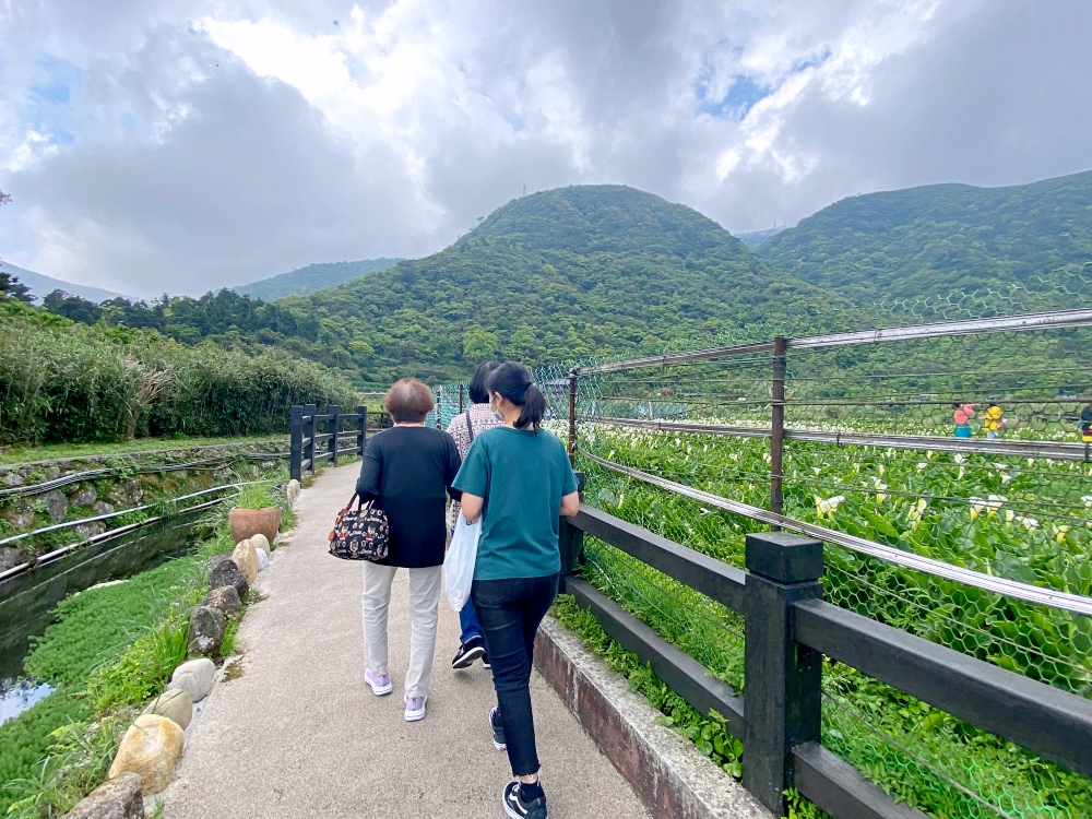 陽明山步道推薦| 陽明山竹子湖踏青,輕鬆好走的頂湖步道,海芋季節賞花、遠望小油坑~ 陽明山步道推薦| 陽明山竹子湖踏青,輕鬆好走的頂湖步道,海芋季節賞花、遠望小油坑~