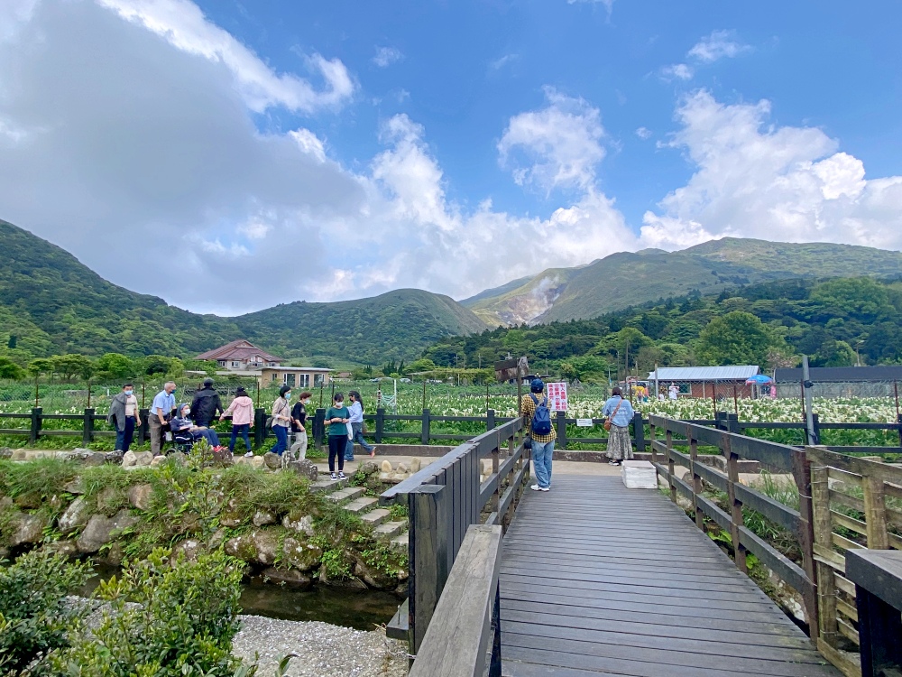 陽明山步道推薦｜ 陽明山竹子湖踏青，輕鬆好走的頂湖步道，海芋季節賞花、遠望小油坑～