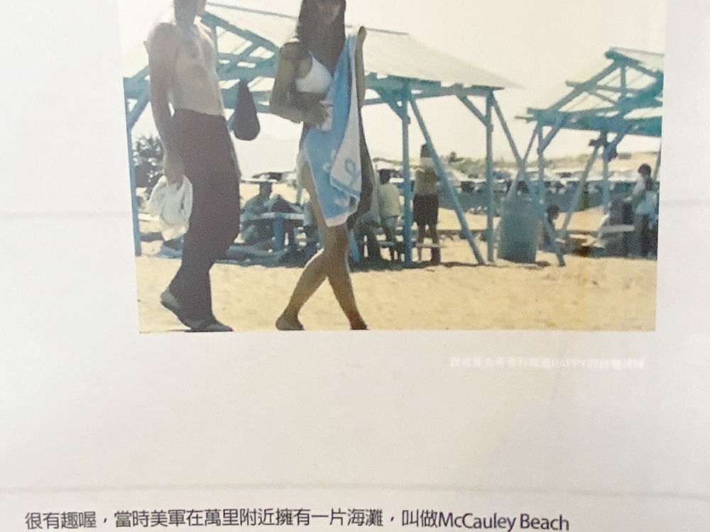 台北市陽明山下午茶推薦，亞尼克蛋糕陽明山店在50年代美軍宿舍中，來場知性的摩登復古下午茶～檸檬派、布丁起司派讓人意猶未盡