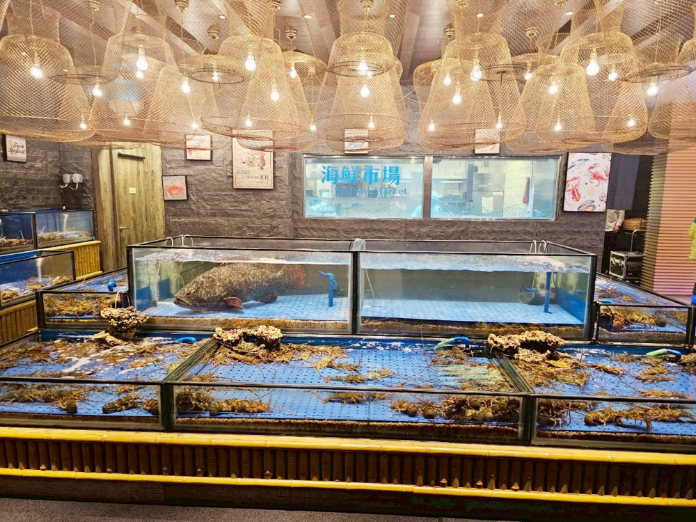 2025 澳門吃到飽推薦 ｜ 上葡京酒店「自助山」buffet，龍蝦海鮮筍殼魚任你吃，加價還有榴蓮專區，5種榴槤口味還有現剖貓山王任你吃～