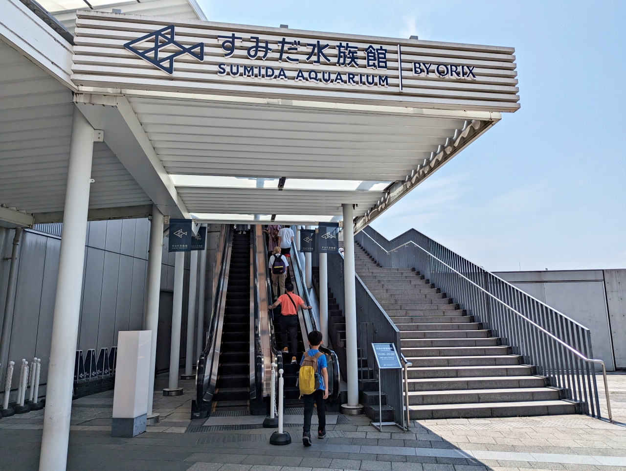 墨田水族館懶人攻略！咖啡廳、優惠門票及停留時間分享，在晴空塔內看療癒水母及小企鵝散步，東京室內親子景點推薦