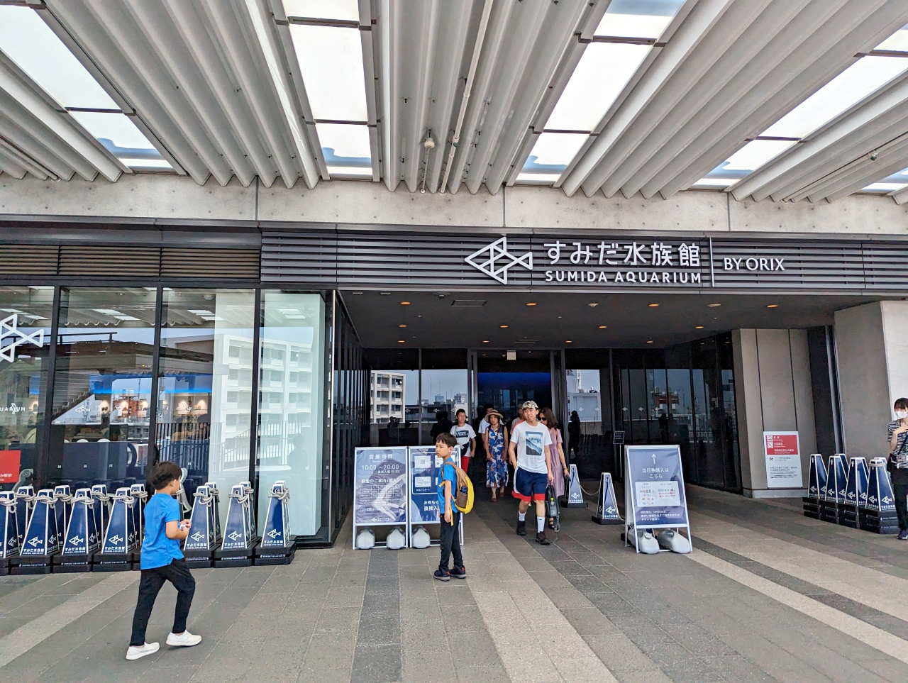 墨田水族館懶人攻略！咖啡廳、優惠門票及停留時間分享，在晴空塔內看療癒水母及小企鵝散步，東京室內親子景點推薦