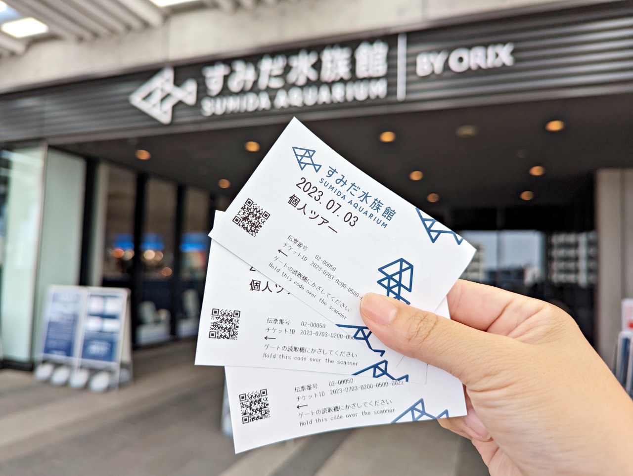 墨田水族館懶人攻略！咖啡廳、優惠門票及停留時間分享，在晴空塔內看療癒水母及小企鵝散步，東京室內親子景點推薦