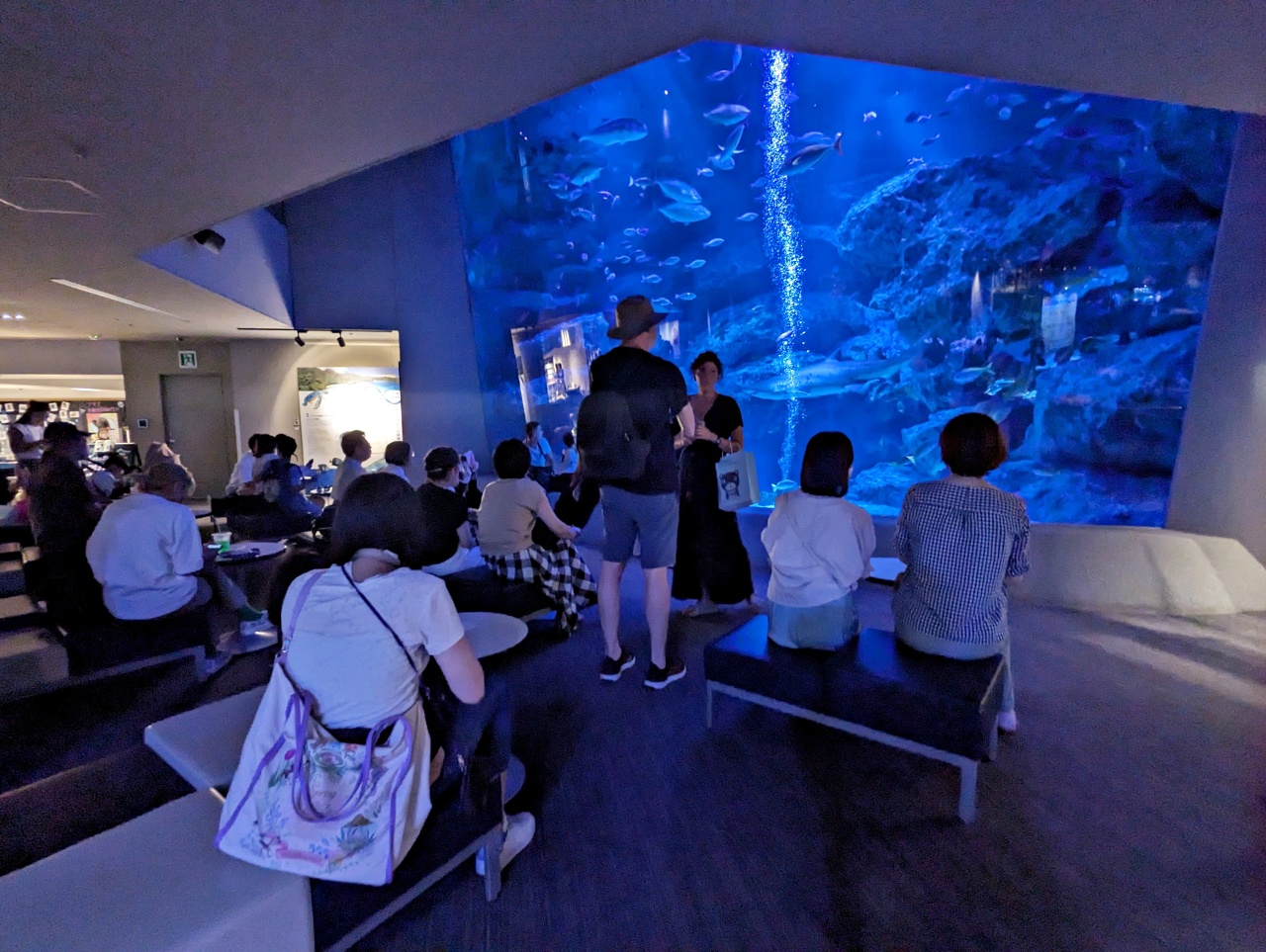 墨田水族館懶人攻略！咖啡廳、優惠門票及停留時間分享，在晴空塔內看療癒水母及小企鵝散步，東京室內親子景點推薦