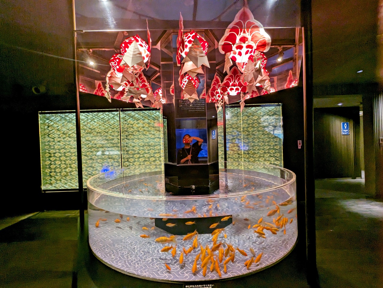 墨田水族館懶人攻略！咖啡廳、優惠門票及停留時間分享，在晴空塔內看療癒水母及小企鵝散步，東京室內親子景點推薦