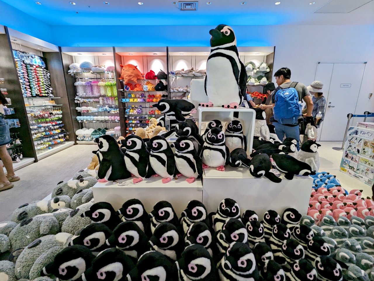 墨田水族館懶人攻略！咖啡廳、優惠門票及停留時間分享，在晴空塔內看療癒水母及小企鵝散步，東京室內親子景點推薦