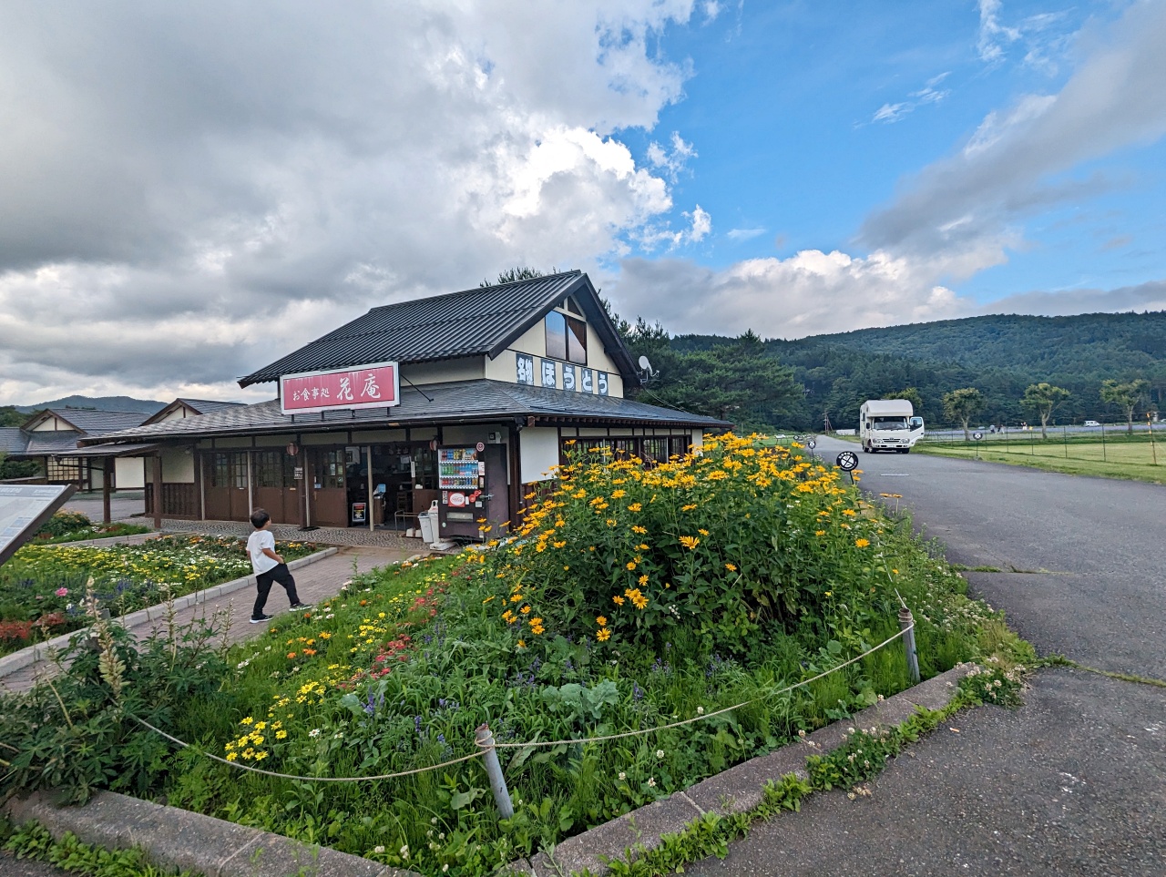 日本河口湖景點，山中湖花之都公園、長池親水公園，粉蝶花與紫藤花海拍美照
