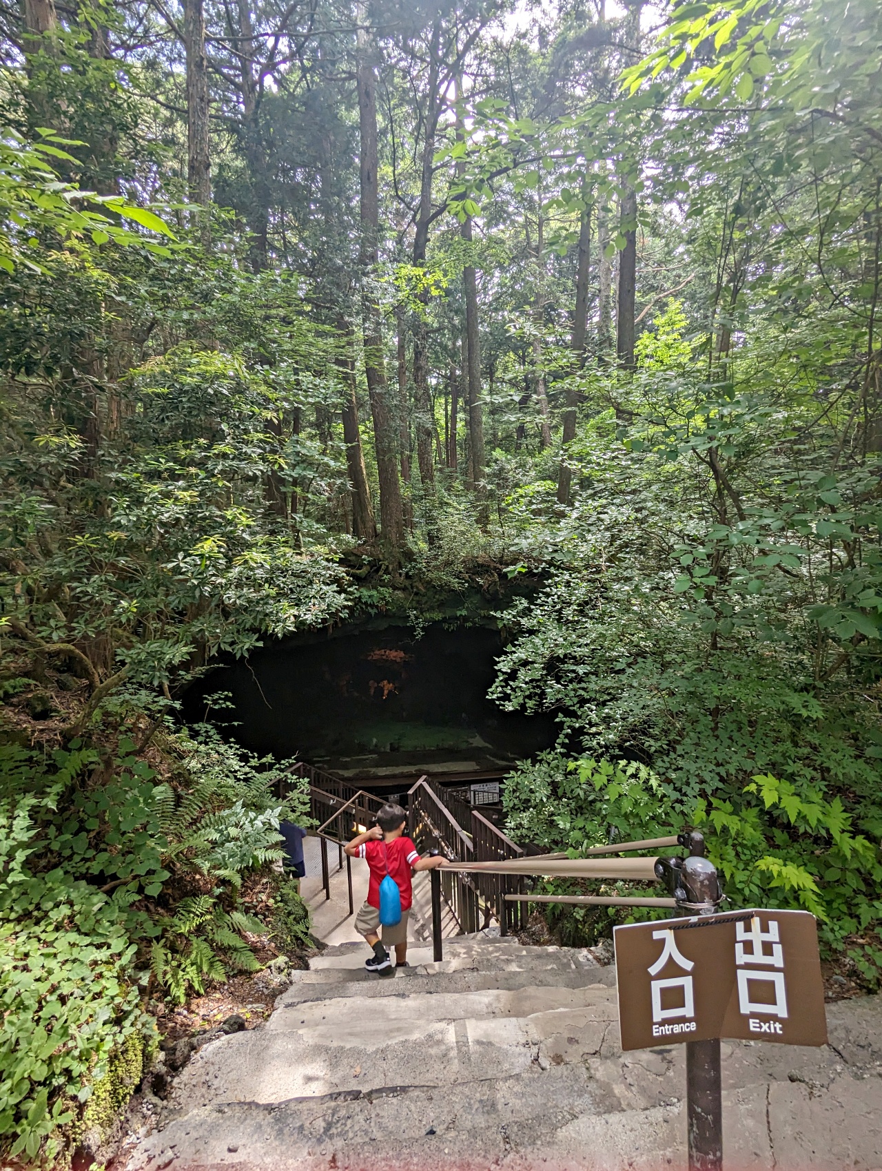 日本山梨河口湖景點，西湖屬於五湖之一，可以順遊鄰近富岳風穴、西湖里根場（很像合掌村）