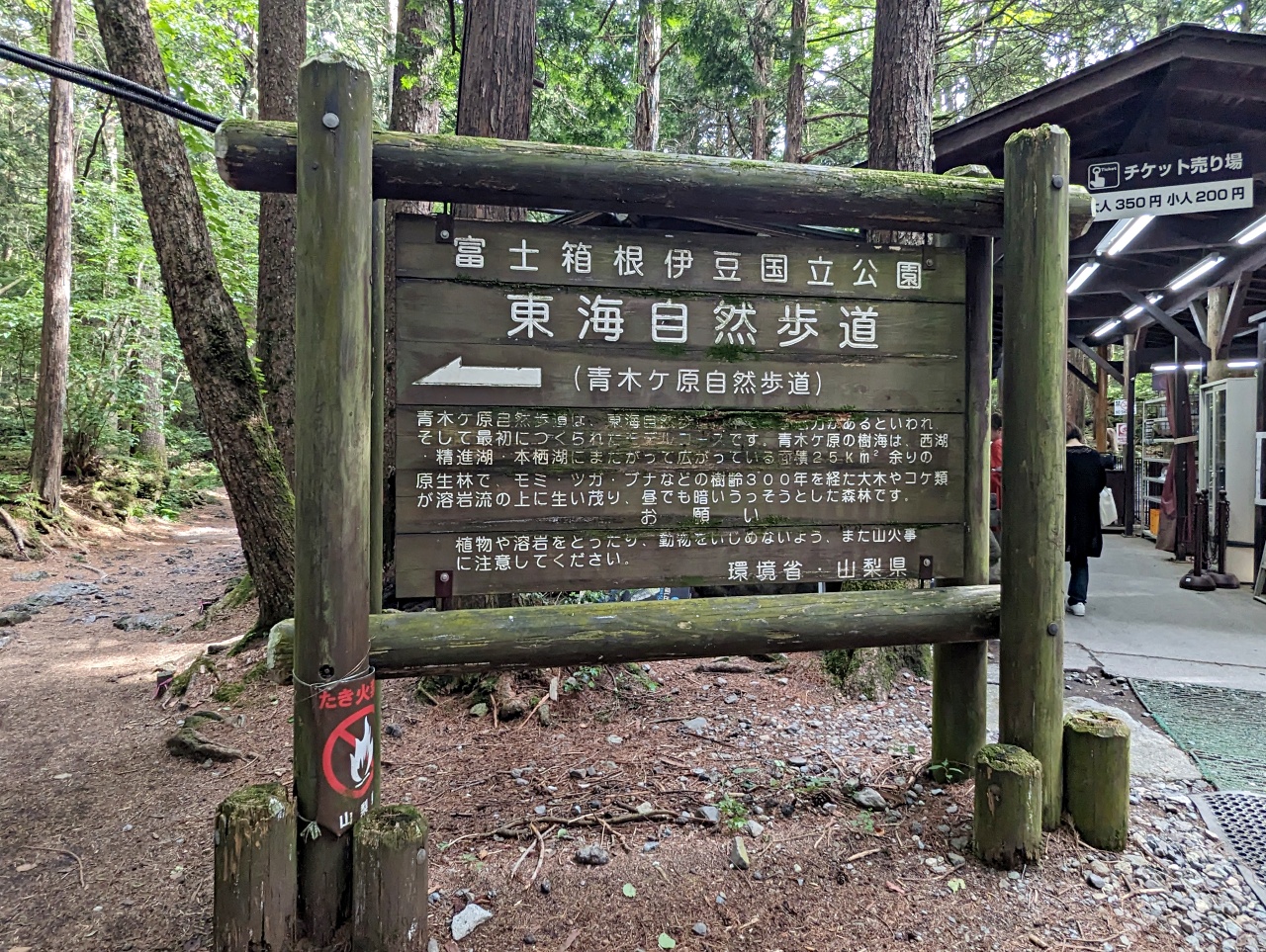 日本富士山河口湖景點，鳴澤冰穴、冨岳風穴、青木原樹海一日遊，夏季避暑好去處，地底奇境親子冒險之旅！