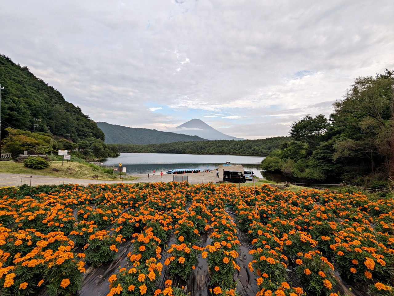 日本山梨河口湖景點，西湖屬於五湖之一，可以順遊鄰近富岳風穴、西湖里根場（很像合掌村）