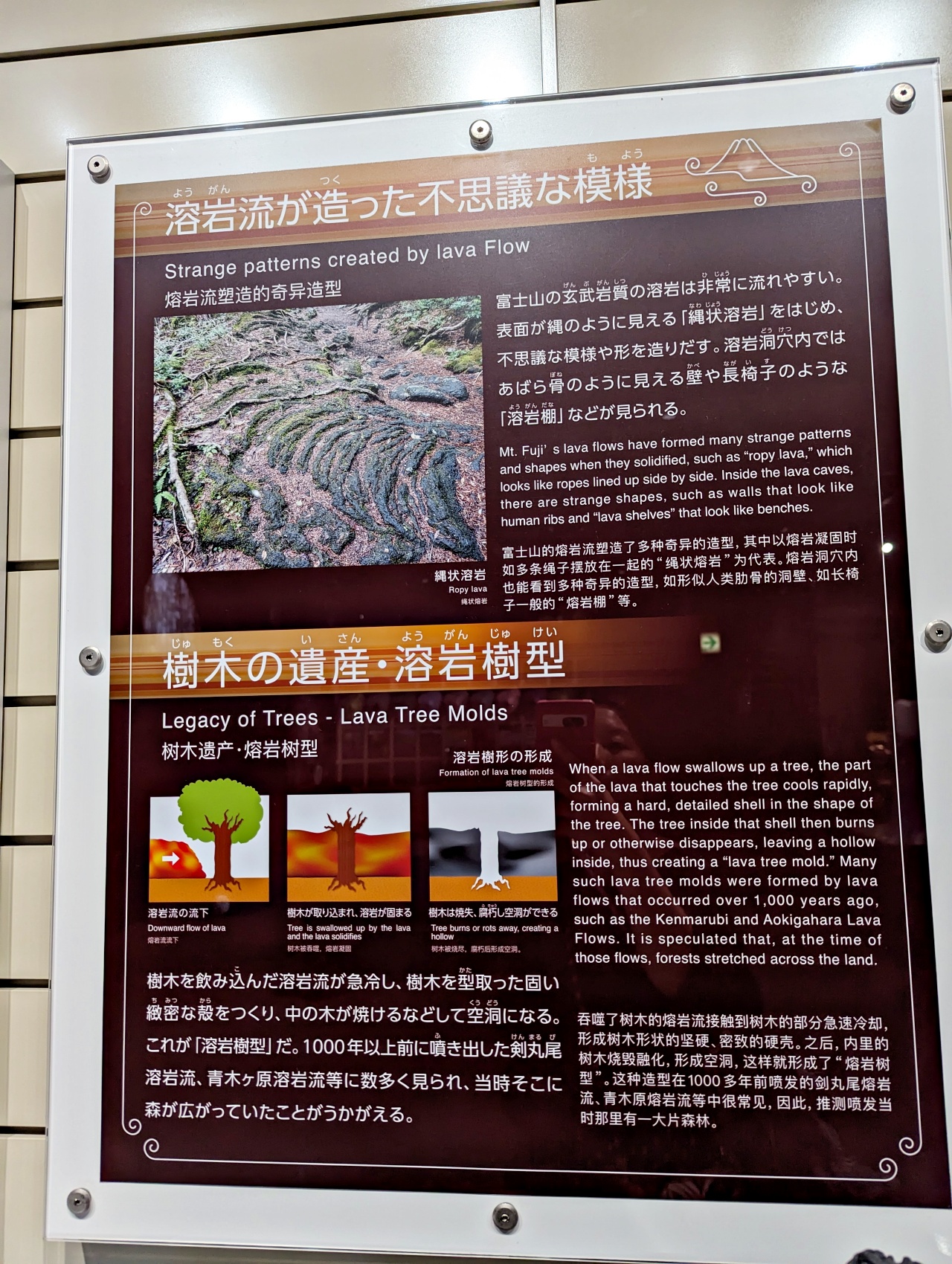 河口湖免費景點推薦，富士山世界遺產中心超巨大「富嶽三六〇」好壯觀！搖曳露營官方集章處 適合親子共學