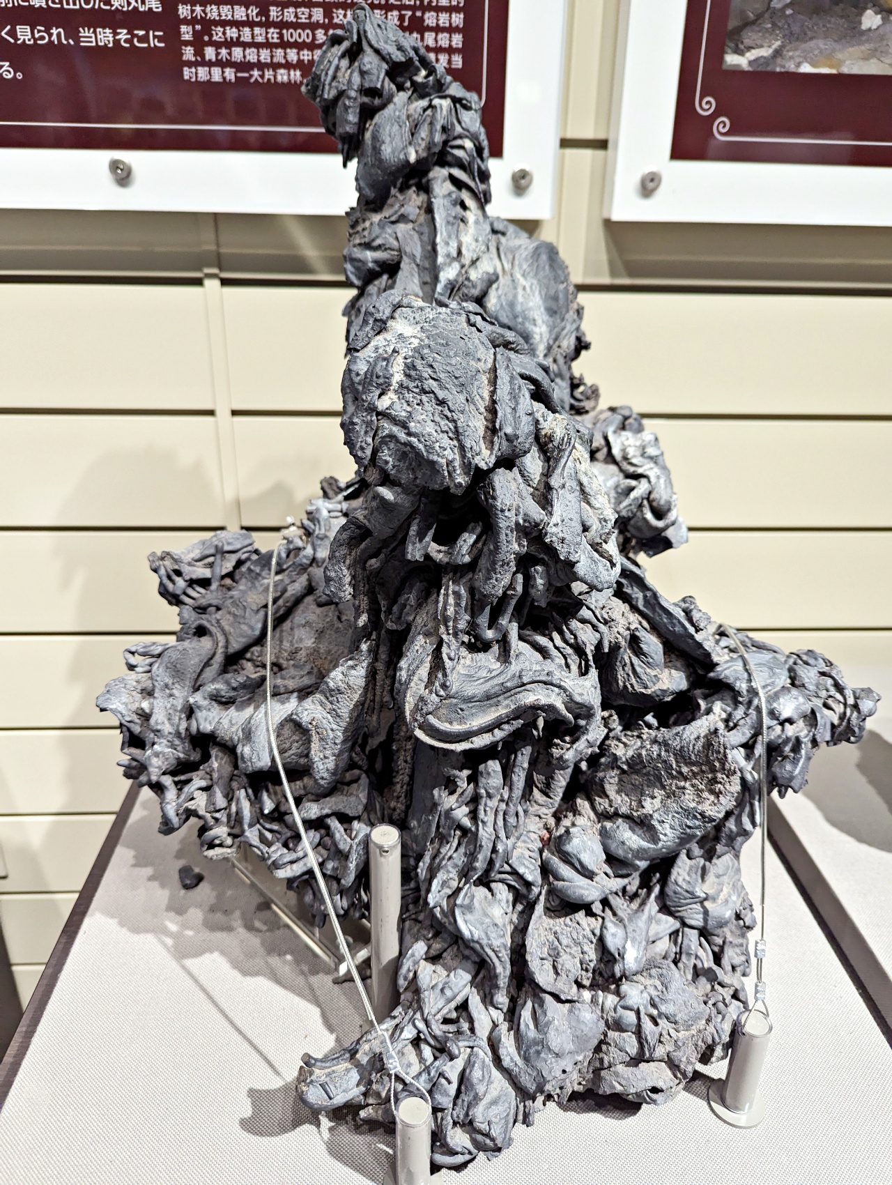 河口湖免費景點推薦，富士山世界遺產中心超巨大「富嶽三六〇」好壯觀！搖曳露營官方集章處 適合親子共學