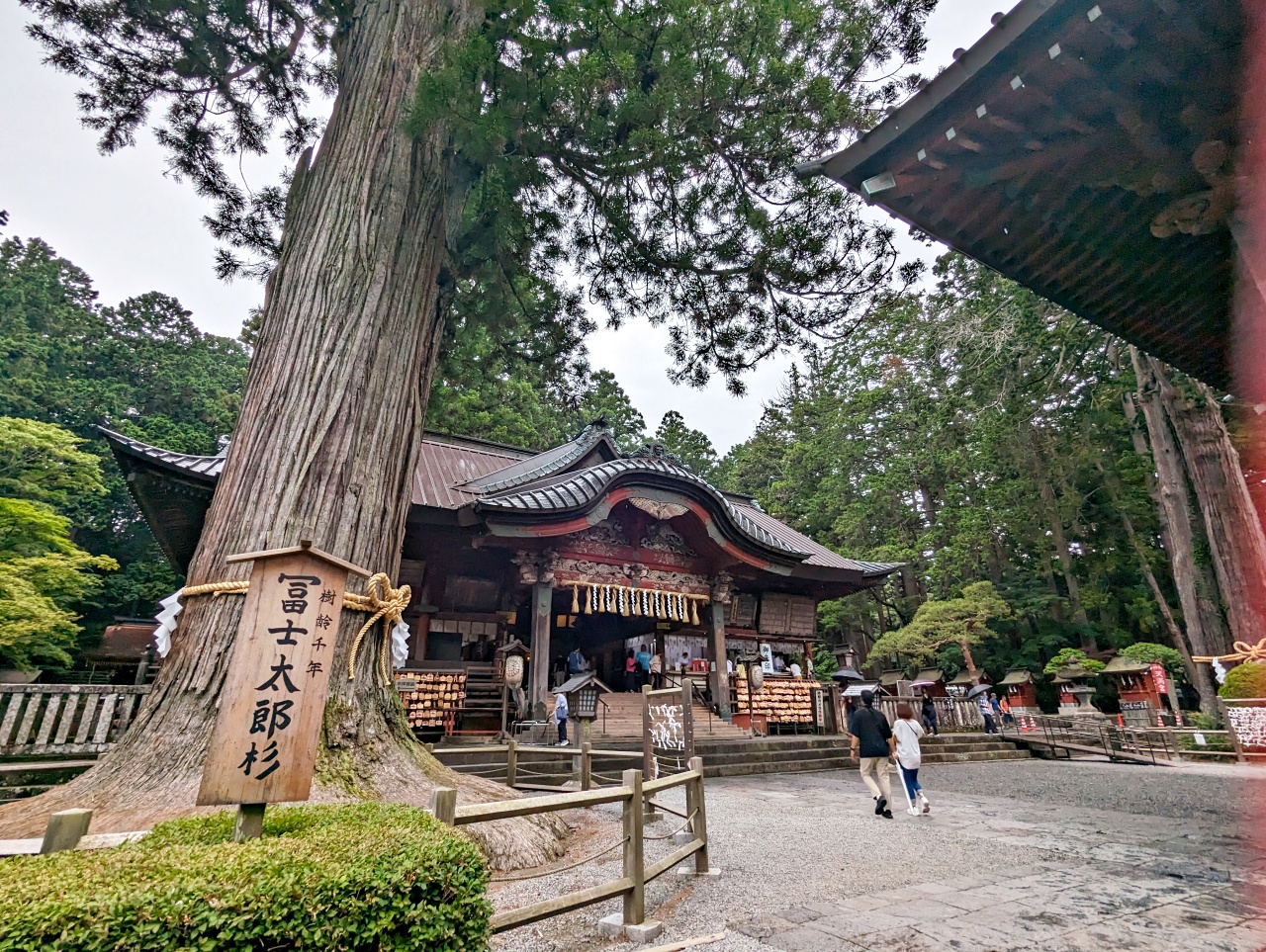 日本河口湖免費景點，1900年以上歷史的北口本宮富士淺間神社，日本現存最大的木造鳥居，與富士山一起被列為世界文化遺產。