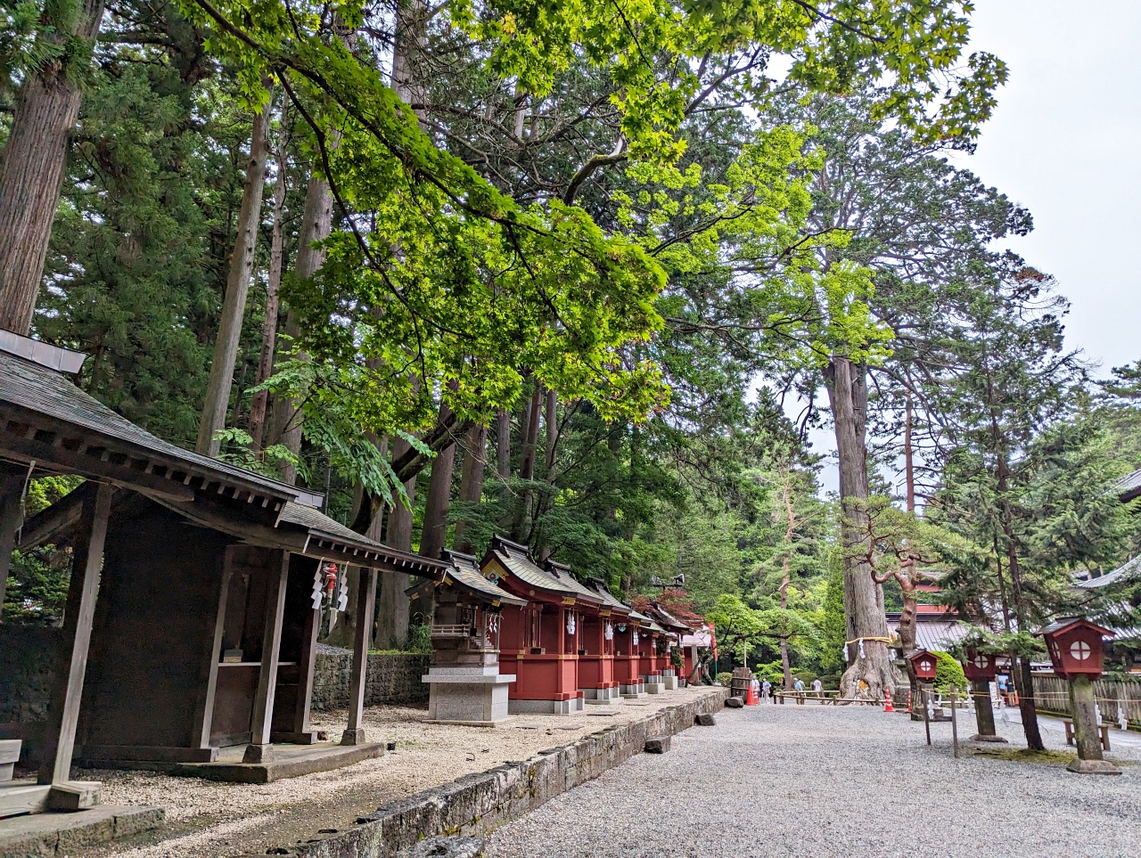 日本河口湖免費景點，1900年以上歷史的北口本宮富士淺間神社，日本現存最大的木造鳥居，與富士山一起被列為世界文化遺產。