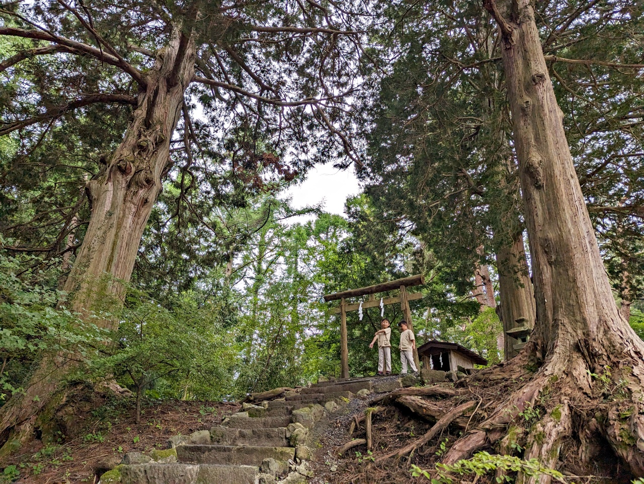 日本河口湖免費景點，1900年以上歷史的北口本宮富士淺間神社，日本現存最大的木造鳥居，與富士山一起被列為世界文化遺產。