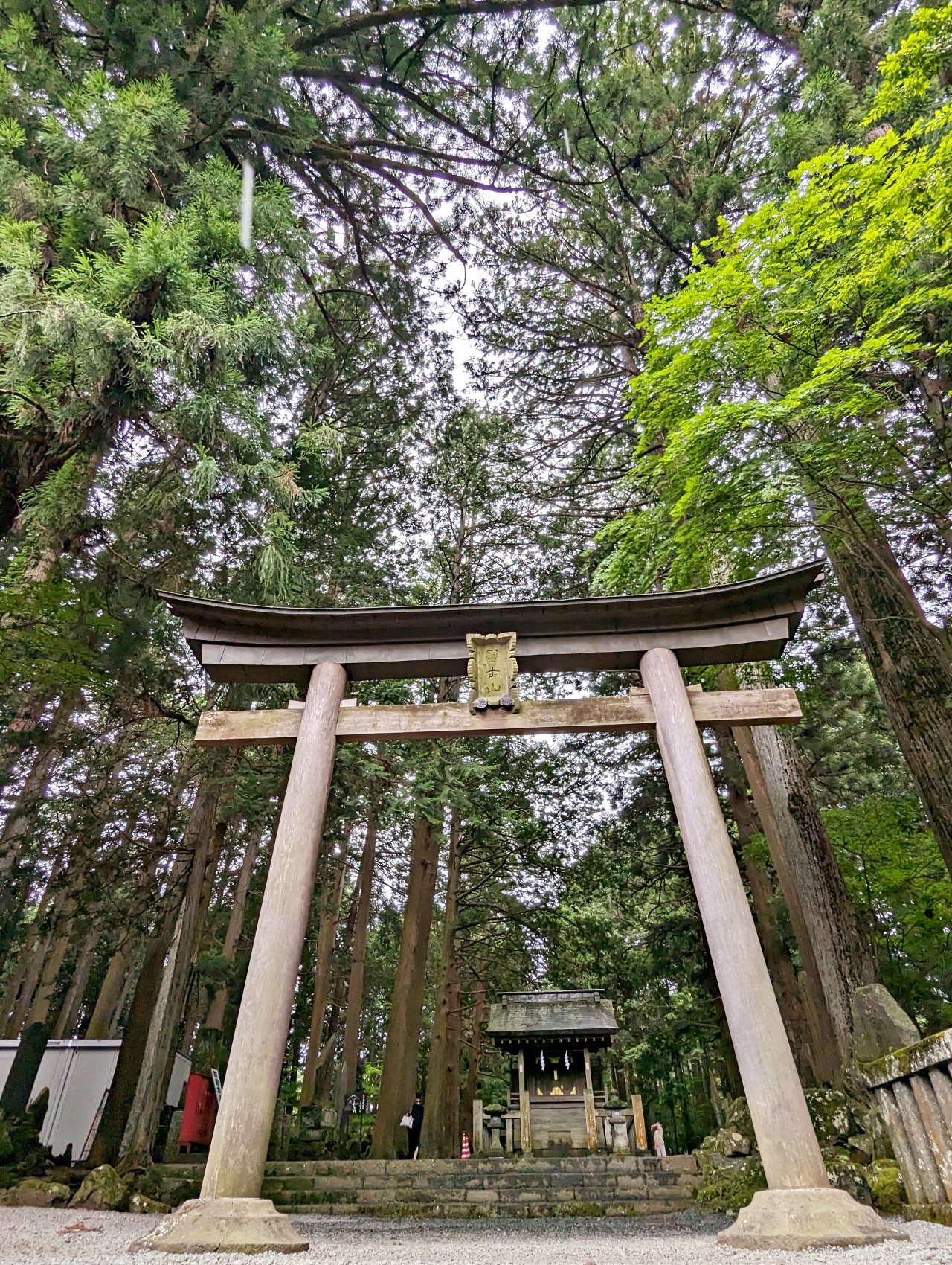 日本河口湖免費景點，1900年以上歷史的北口本宮富士淺間神社，日本現存最大的木造鳥居，與富士山一起被列為世界文化遺產。