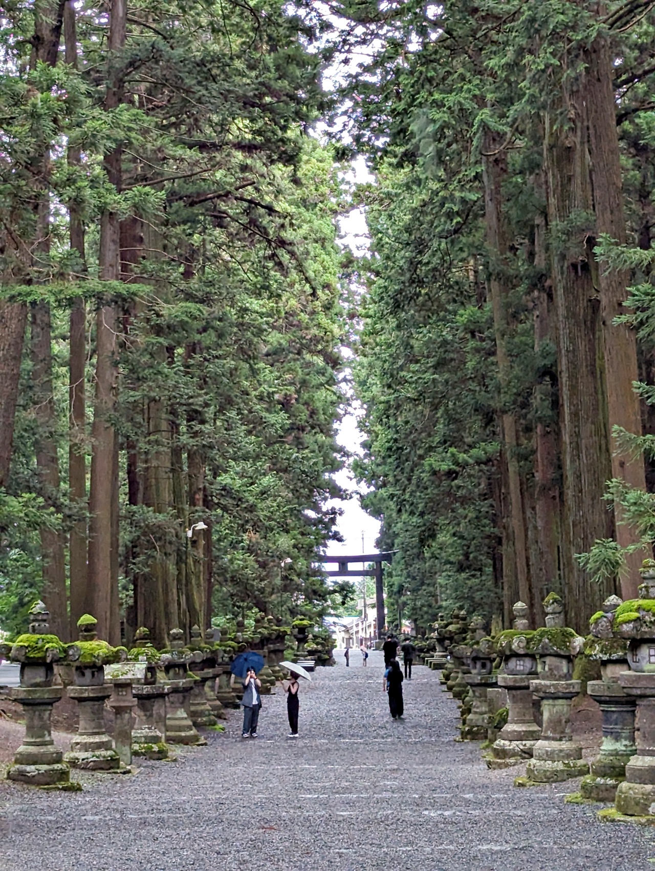 日本河口湖免費景點，1900年以上歷史的北口本宮富士淺間神社，日本現存最大的木造鳥居，與富士山一起被列為世界文化遺產。
