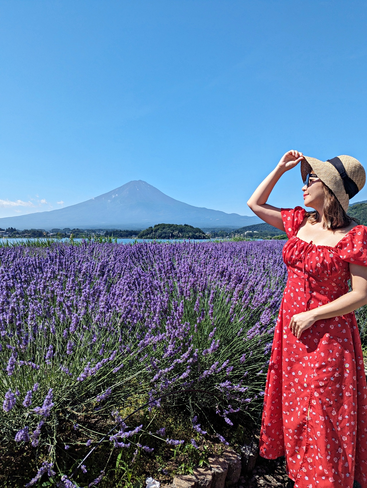 河口湖免費景點推薦，大石公園拍富士山+四季花海、咖啡廳吃Cremia冰淇淋跟富士山咖哩飯