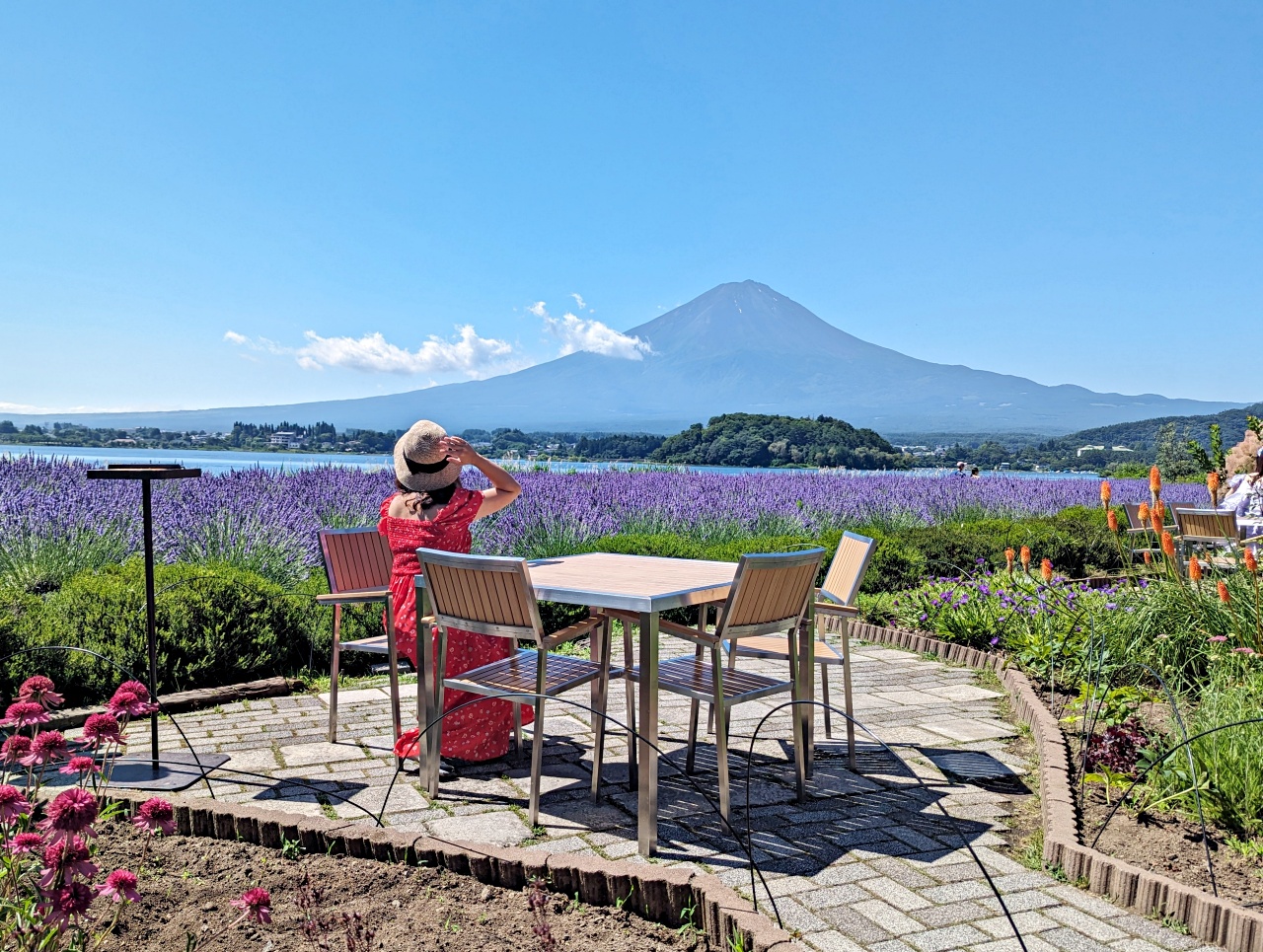 河口湖免費景點推薦，大石公園拍富士山+四季花海、咖啡廳吃Cremia冰淇淋跟富士山咖哩飯