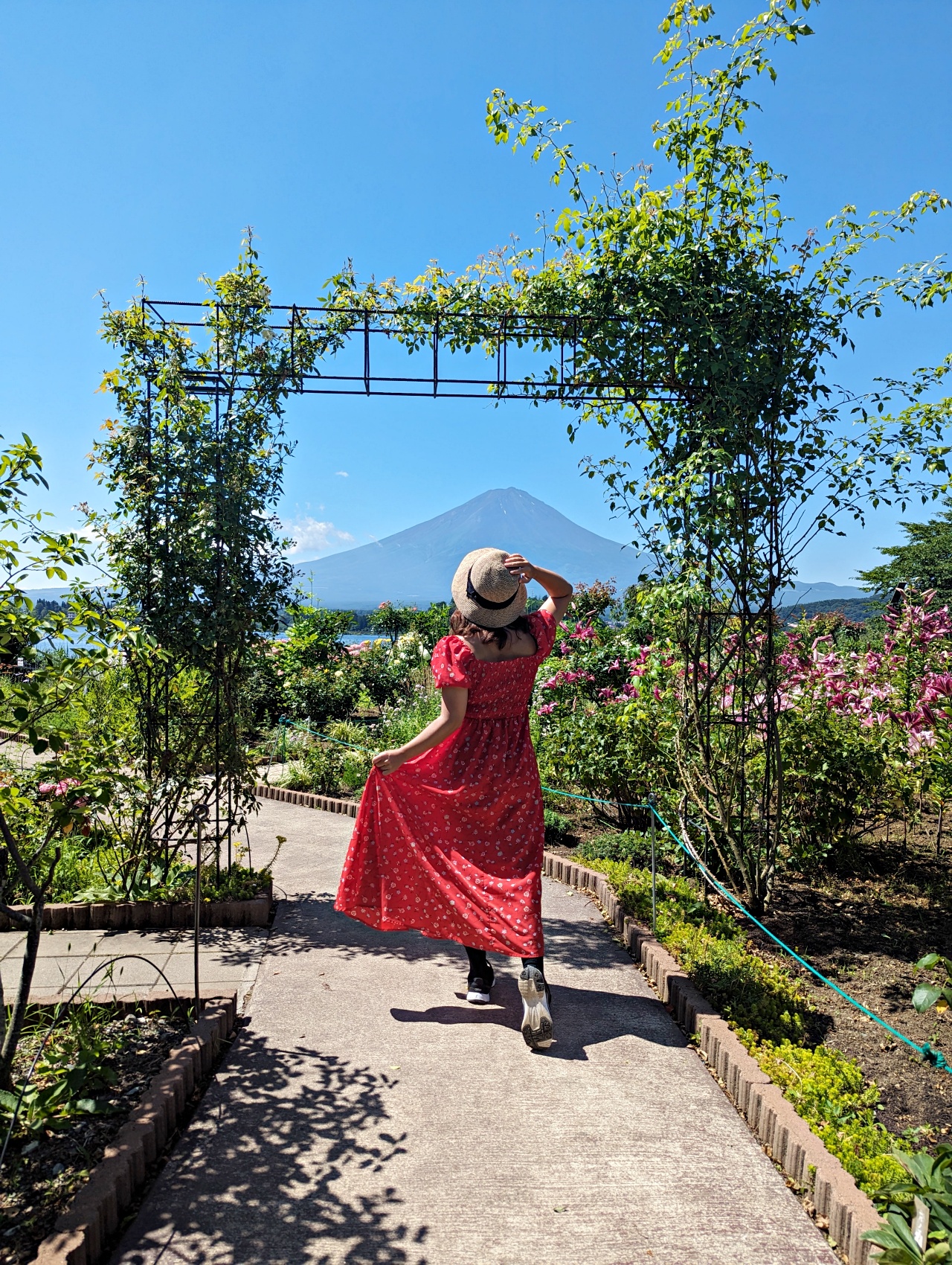河口湖免費景點推薦，大石公園拍富士山+四季花海、咖啡廳吃Cremia冰淇淋跟富士山咖哩飯