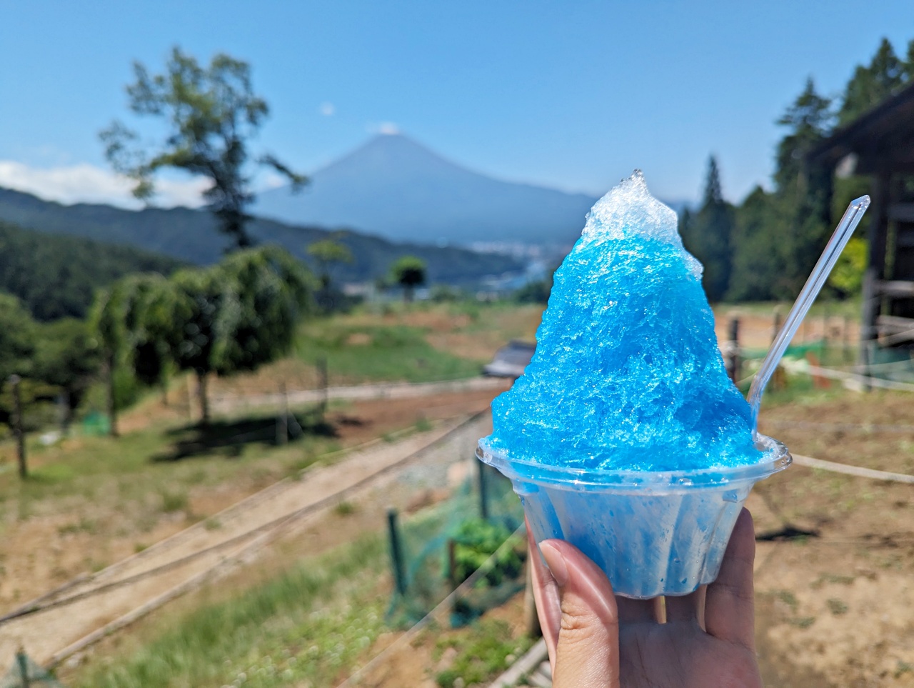 河口湖必去景點，參拜河口淺間神社遙拜所，網美最愛拍富士山的天空鳥居就在這