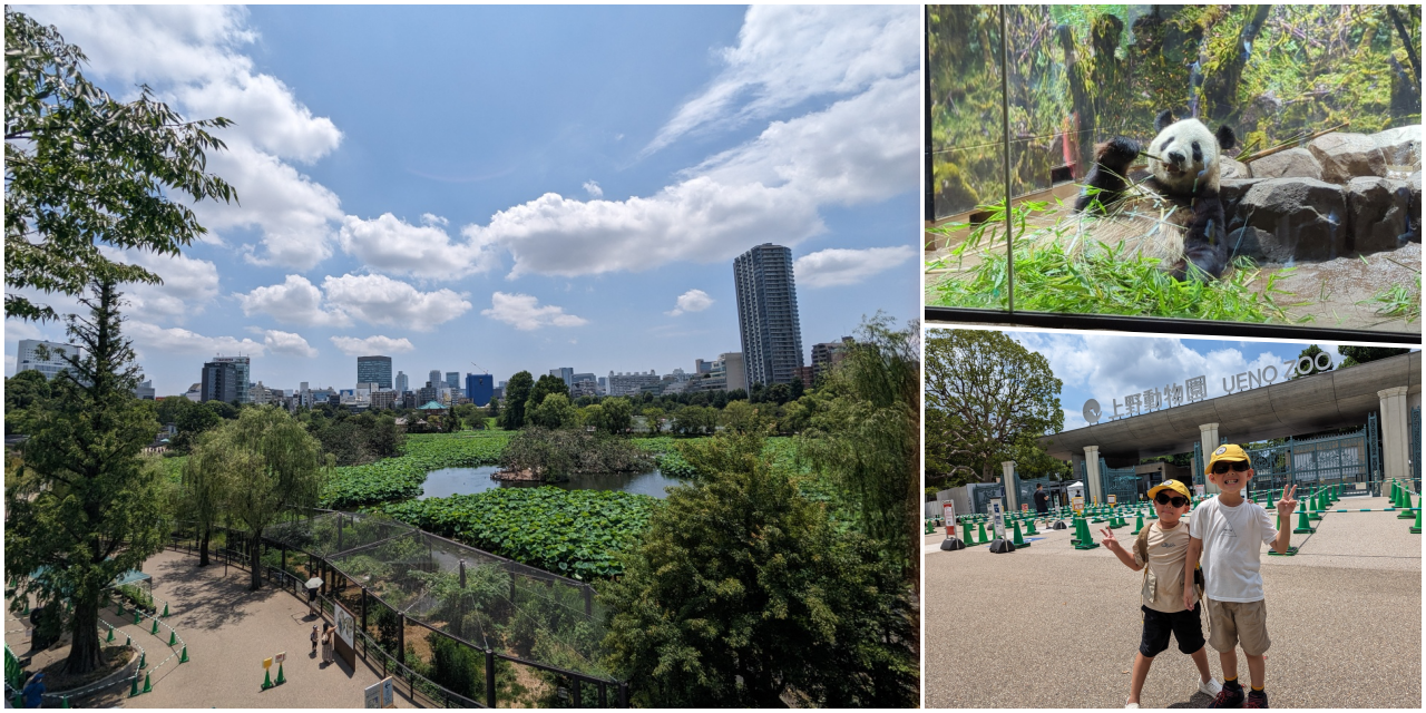 網站近期文章：東京親子景點推薦｜超過140年歷史的上野動物園看熊貓北極熊，玩多久? 門票價格?親子出遊全攻略！