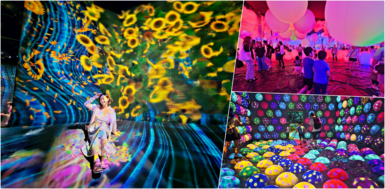 網站近期文章：福岡teamlab魔幻森林主題打卡好拍又好玩！交通、門票、參觀動線、停留時間、附近景點