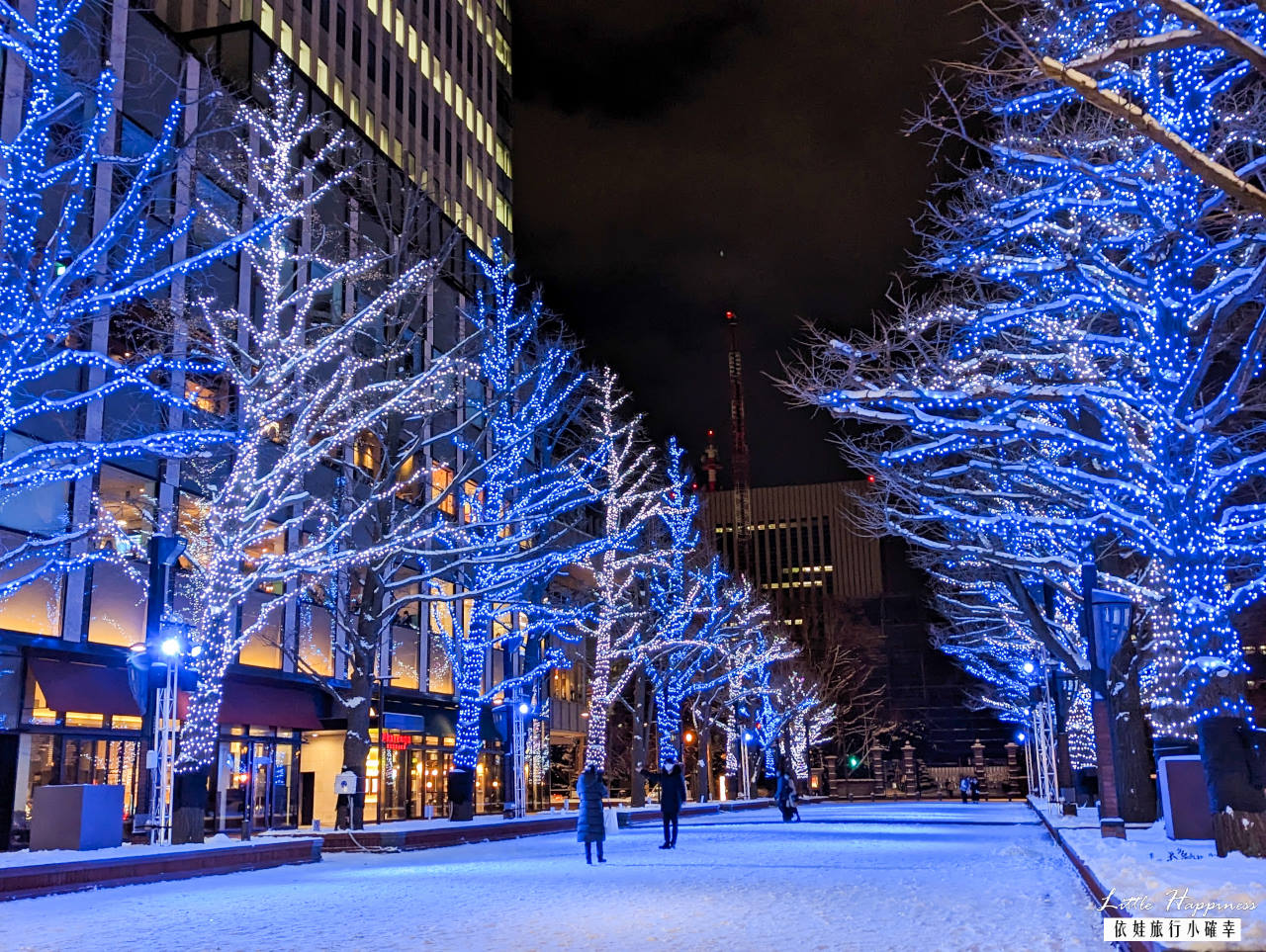 北海道札幌聖誕節活動原來有這麼多！網美必拍聖誕樹、聖誕市集、聖誕造景燈海