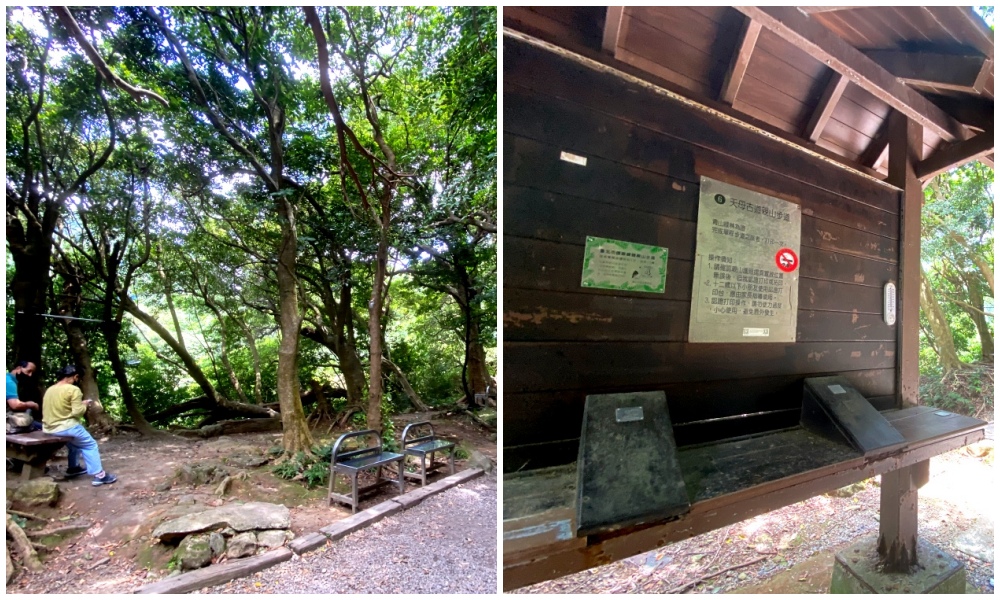 台北天母免費景點推薦｜天母古道親山步道，輕鬆健行適合小孩，綠色隧道水管路、可愛彌猴出沒注意～