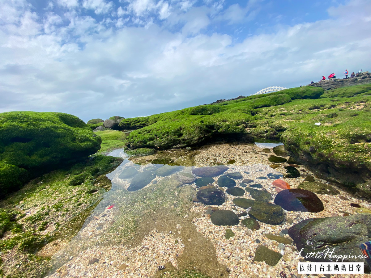 新北石門免費景點｜石門洞北海岸唯一貝殼沙灘與白色情人橋，春天有抹茶海岸、夏日暢玩潮間帶，大啖海鮮與肉粽，順遊附近景點與美食吧