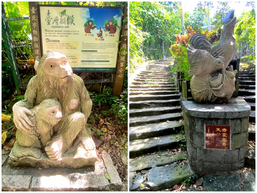 台北天母免費景點推薦｜天母古道親山步道，輕鬆健行適合小孩，綠色隧道水管路、可愛彌猴出沒注意～