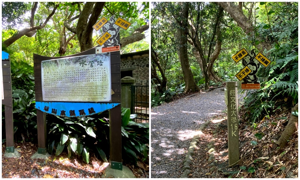 台北天母免費景點推薦｜天母古道親山步道，輕鬆健行適合小孩，綠色隧道水管路、可愛彌猴出沒注意～