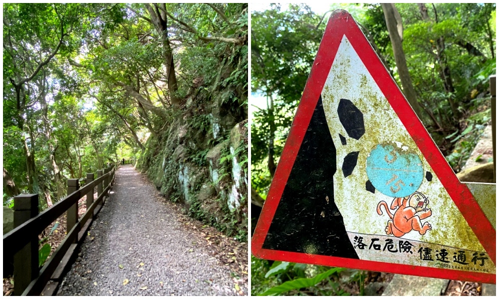台北天母免費景點推薦｜天母古道親山步道，輕鬆健行適合小孩，綠色隧道水管路、可愛彌猴出沒注意～