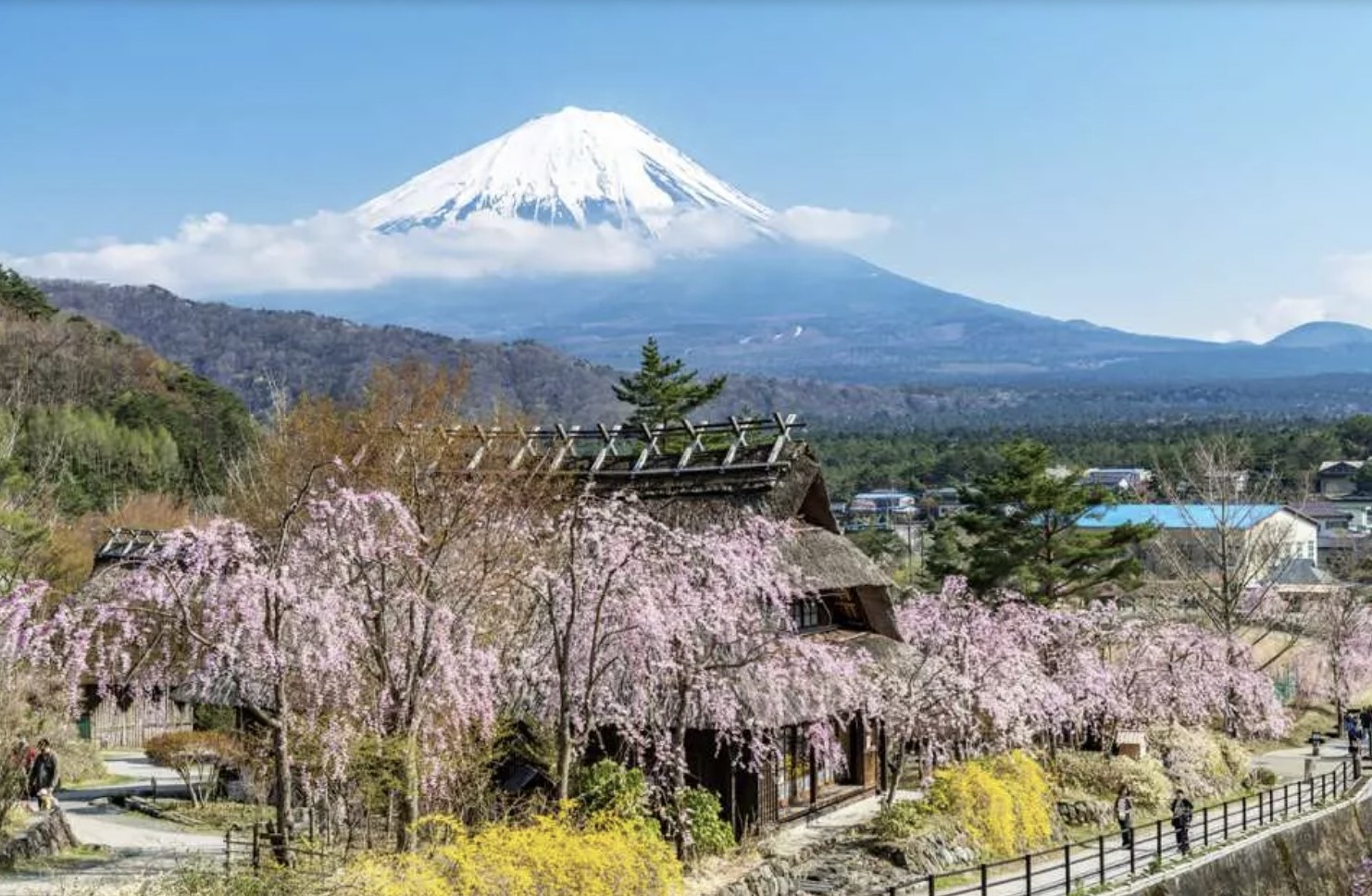 日本山梨河口湖景點，西湖屬於五湖之一，可以順遊鄰近富岳風穴、西湖里根場（很像合掌村）