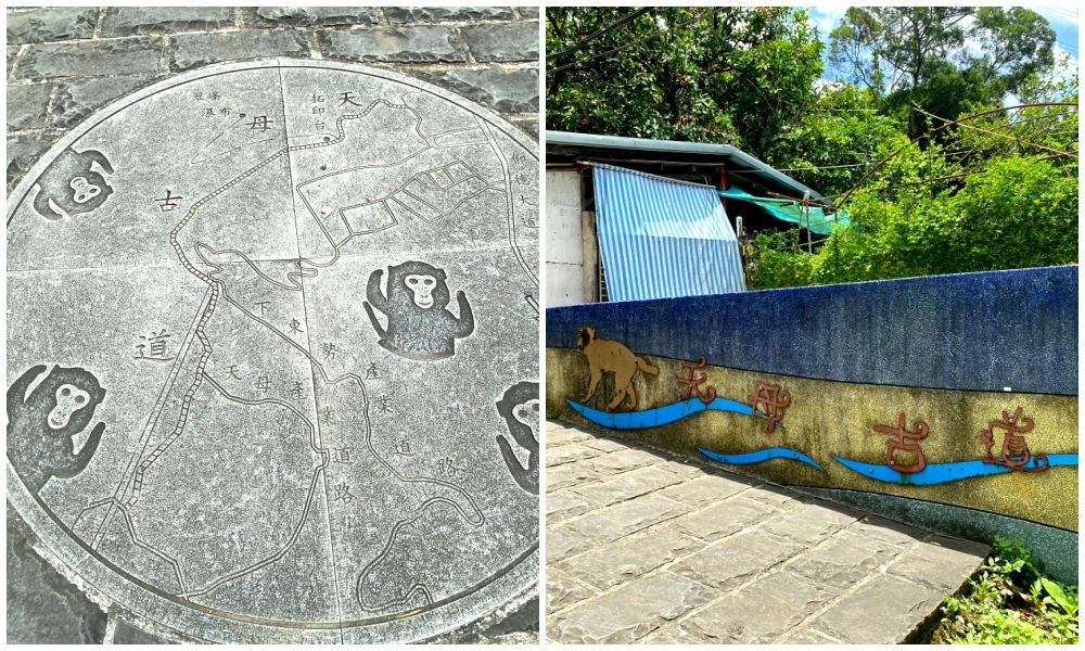 台北天母免費景點推薦｜天母古道親山步道，輕鬆健行適合小孩，綠色隧道水管路、可愛彌猴出沒注意～